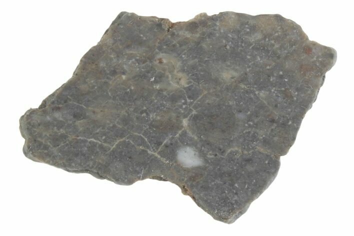 Lunar Meteorite ( g) Slice - Laayoune #381693